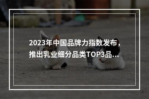 2023年中国品牌力指数发布，推出乳业细分品类TOP3品牌！