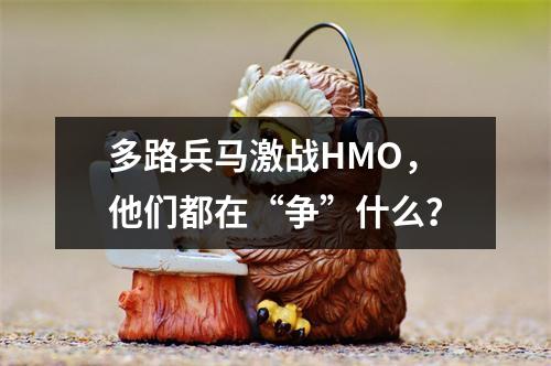 多路兵马激战HMO，他们都在“争”什么？