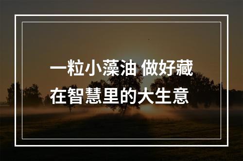 一粒小藻油 做好藏在智慧里的大生意