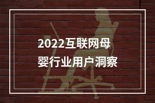 2022互联网母婴行业用户洞察