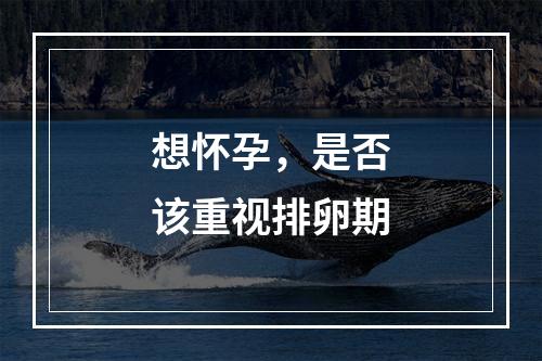 想怀孕，是否该重视排卵期