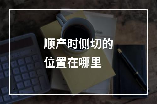 顺产时侧切的位置在哪里