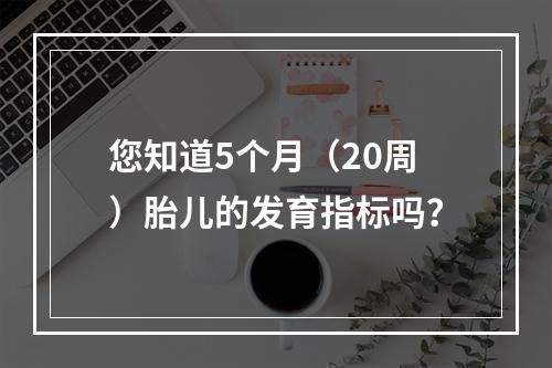 您知道5个月（20周）胎儿的发育指标吗？