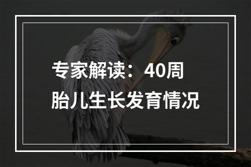 专家解读：40周胎儿生长发育情况