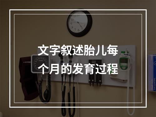 文字叙述胎儿每个月的发育过程