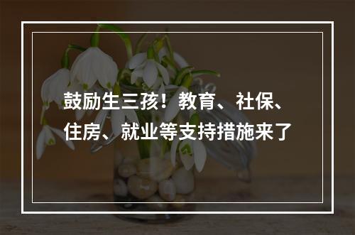 鼓励生三孩！教育、社保、住房、就业等支持措施来了