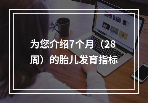 为您介绍7个月（28周）的胎儿发育指标