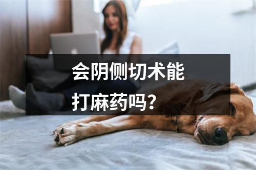 会阴侧切术能打麻药吗？
