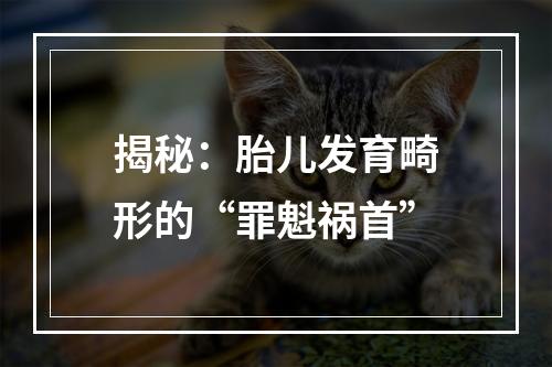 揭秘：胎儿发育畸形的“罪魁祸首”