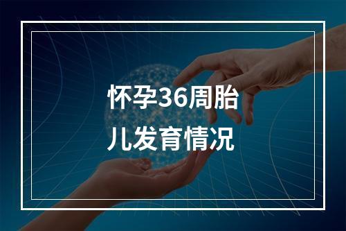 怀孕36周胎儿发育情况