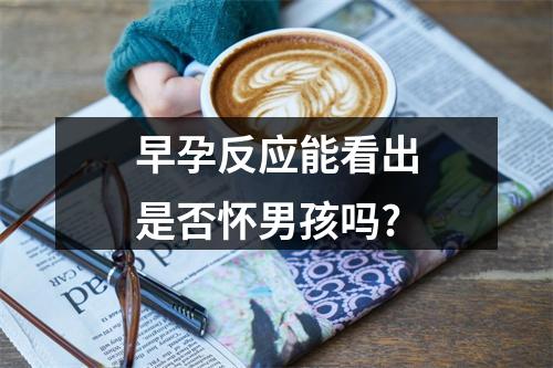 早孕反应能看出是否怀男孩吗?
