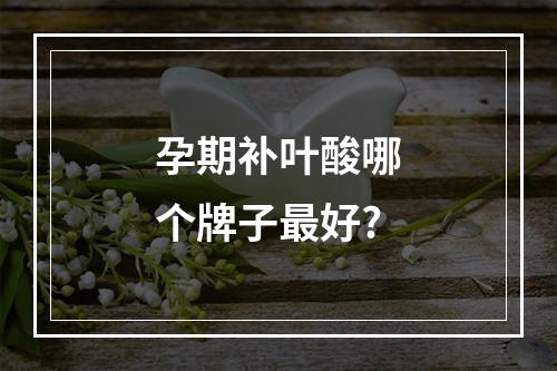 孕期补叶酸哪个牌子最好?