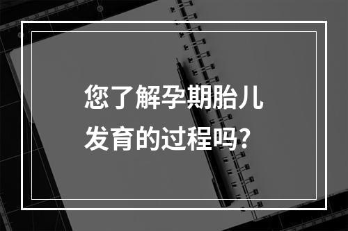 您了解孕期胎儿发育的过程吗?