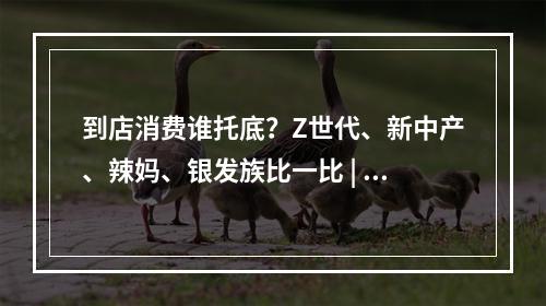 到店消费谁托底？Z世代、新中产、辣妈、银发族比一比 | 产研报告