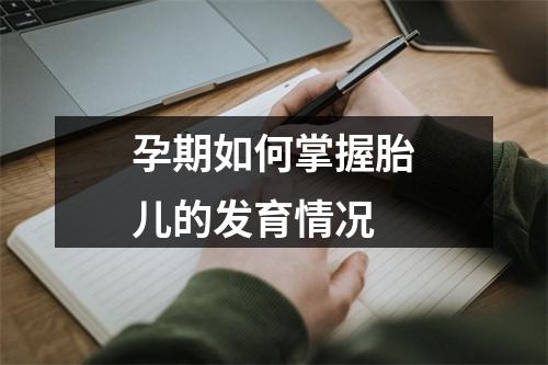 孕期如何掌握胎儿的发育情况