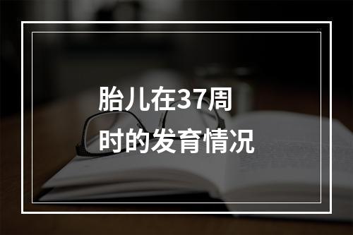 胎儿在37周时的发育情况