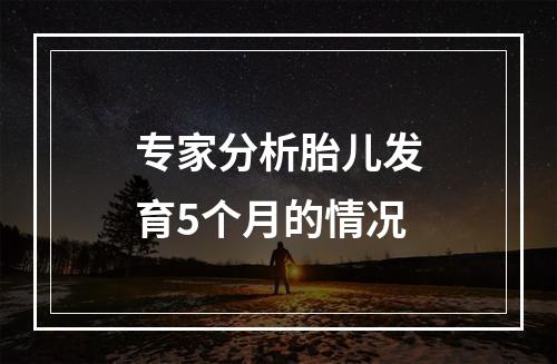 专家分析胎儿发育5个月的情况