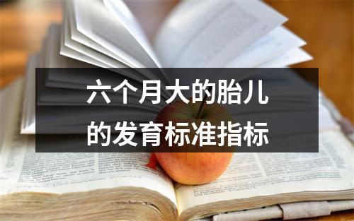 六个月大的胎儿的发育标准指标