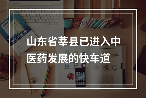 山东省莘县已进入中医药发展的快车道