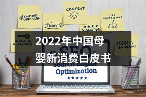 2022年中国母婴新消费白皮书