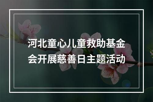 河北童心儿童救助基金会开展慈善日主题活动