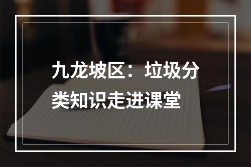 九龙坡区：垃圾分类知识走进课堂