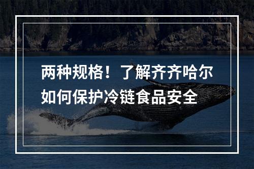 两种规格！了解齐齐哈尔如何保护冷链食品安全