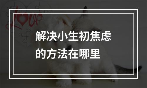 解决小生初焦虑的方法在哪里