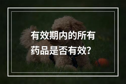 有效期内的所有药品是否有效？