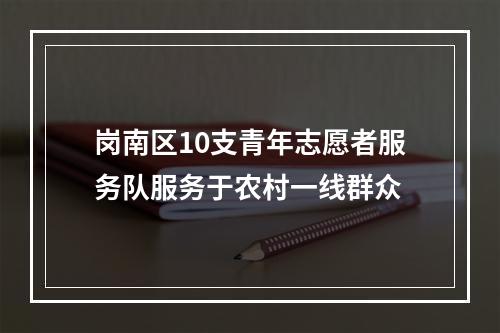 岗南区10支青年志愿者服务队服务于农村一线群众