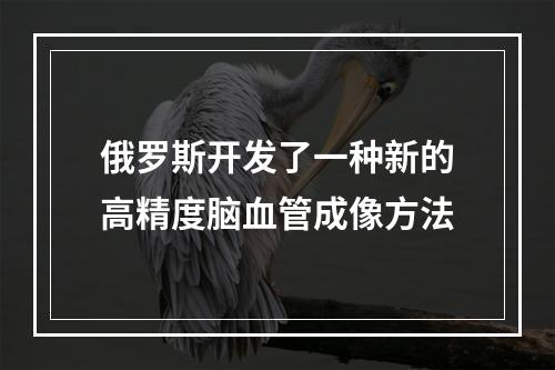 俄罗斯开发了一种新的高精度脑血管成像方法