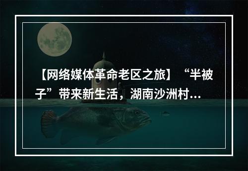 【网络媒体革命老区之旅】“半被子”带来新生活，湖南沙洲村旧貌焕然一新