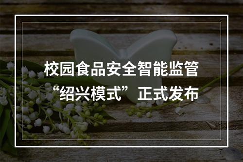 校园食品安全智能监管“绍兴模式”正式发布