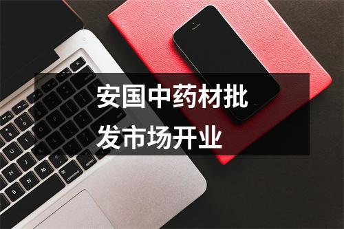 安国中药材批发市场开业