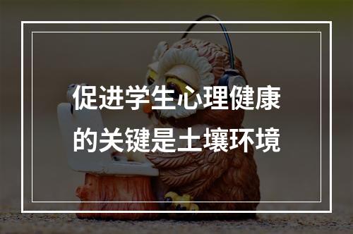 促进学生心理健康的关键是土壤环境