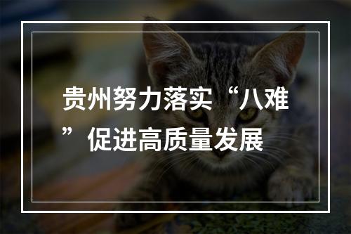 贵州努力落实“八难”促进高质量发展