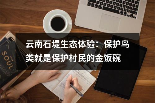 云南石堤生态体验：保护鸟类就是保护村民的金饭碗