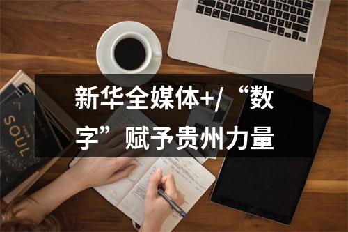 新华全媒体+/“数字”赋予贵州力量