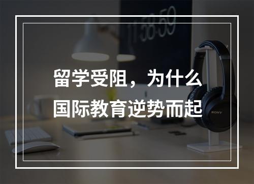 留学受阻，为什么国际教育逆势而起