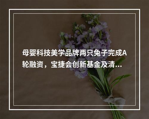 母婴科技美学品牌两只兔子完成A轮融资，宝捷会创新基金及清流资本投资