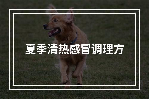 夏季清热感冒调理方