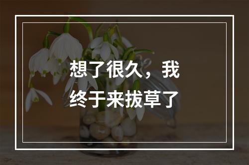 想了很久，我终于来拔草了