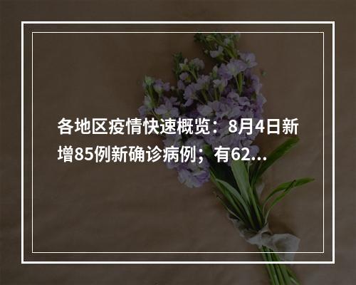各地区疫情快速概览：8月4日新增85例新确诊病例；有62例当地病例