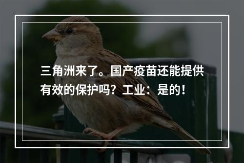 三角洲来了。国产疫苗还能提供有效的保护吗？工业：是的！