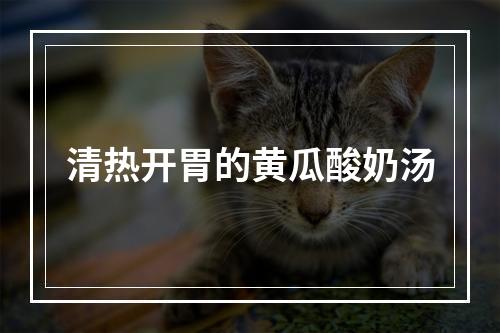 清热开胃的黄瓜酸奶汤