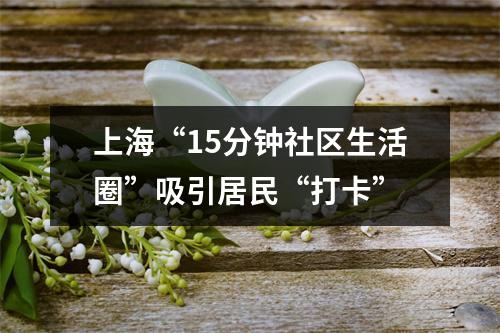 上海“15分钟社区生活圈”吸引居民“打卡”