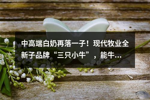 中高端白奶再落一子！现代牧业全新子品牌“三只小牛”，能牛出圈吗？