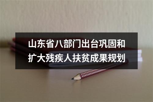 山东省八部门出台巩固和扩大残疾人扶贫成果规划