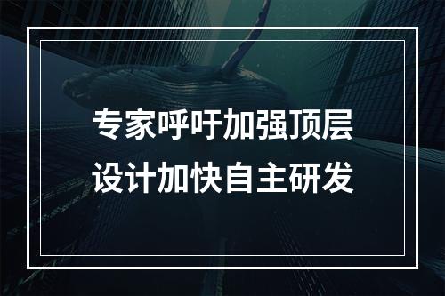 专家呼吁加强顶层设计加快自主研发