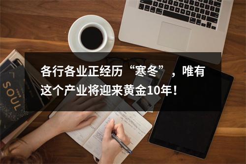 各行各业正经历“寒冬”，唯有这个产业将迎来黄金10年！